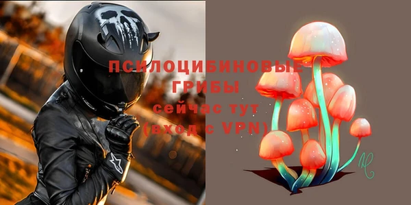 эйфоретик Арсеньев