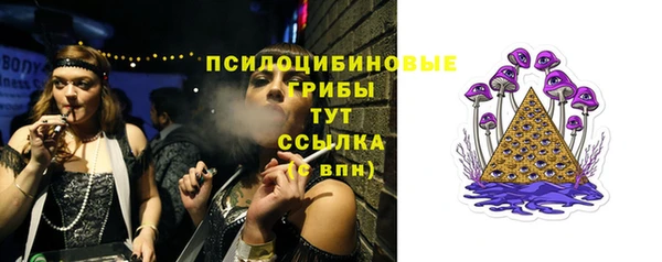 эйфоретик Арсеньев