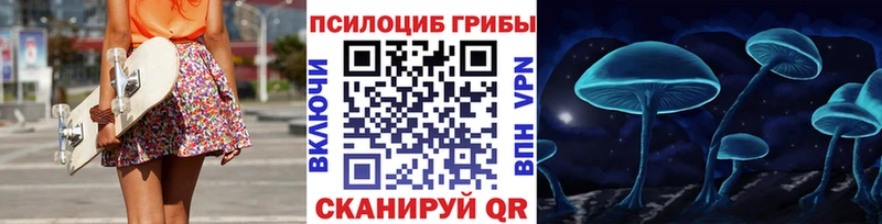 Псилоцибиновые грибы Psilocybe продажа наркотиков Нарткала