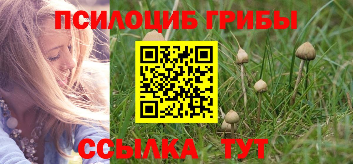 Псилоцибиновые грибы мицелий Нарткала