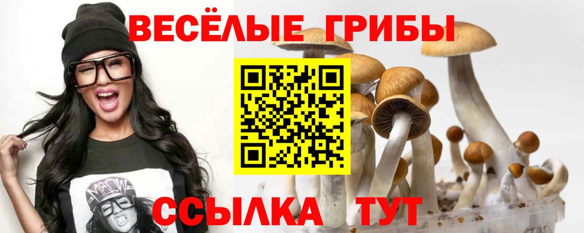 Галлюциногенные грибы прущие грибы  Галлюциногенные грибы Magic Shrooms  Нарткала  Вход с VPN 